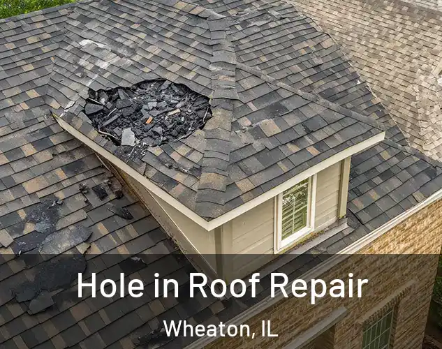  Hole in Roof Repair Wheaton, IL