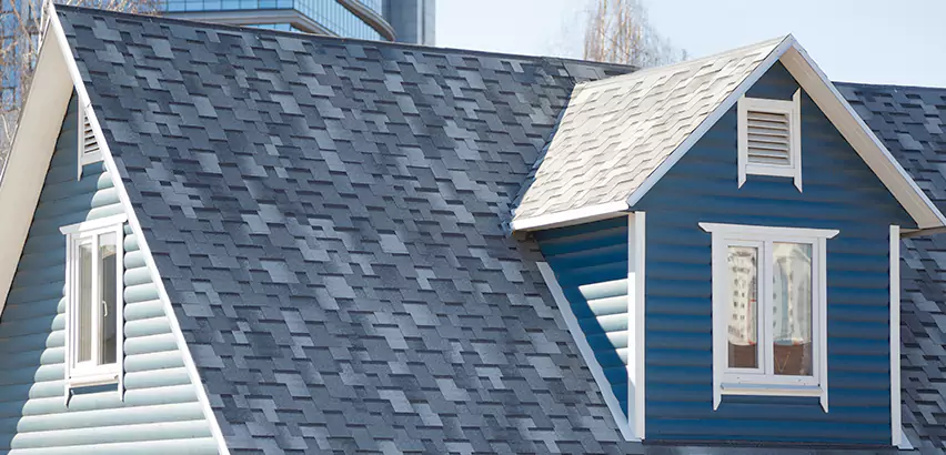 Shingle Roof Maintenance in Wheaton