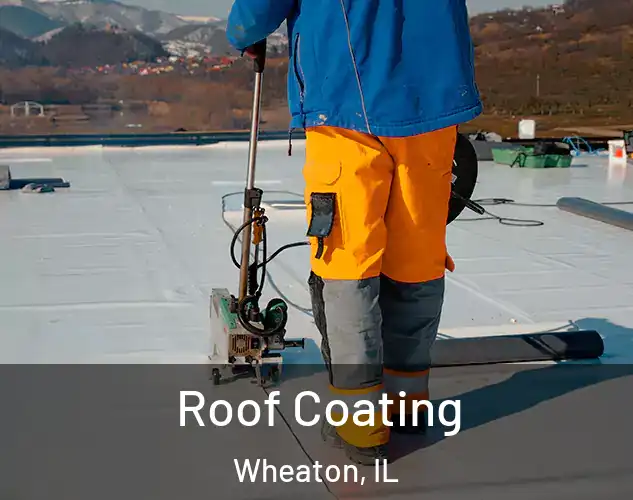  Roof Coating Wheaton, IL