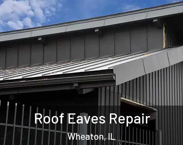  Roof Eaves Repair Wheaton, IL