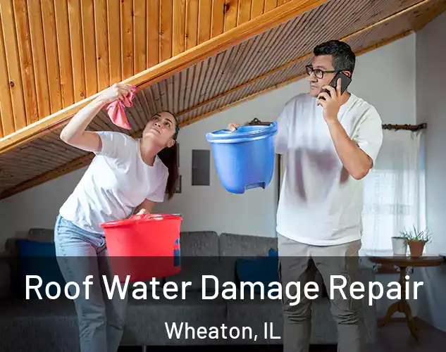  Roof Water Damage Repair Wheaton, IL
