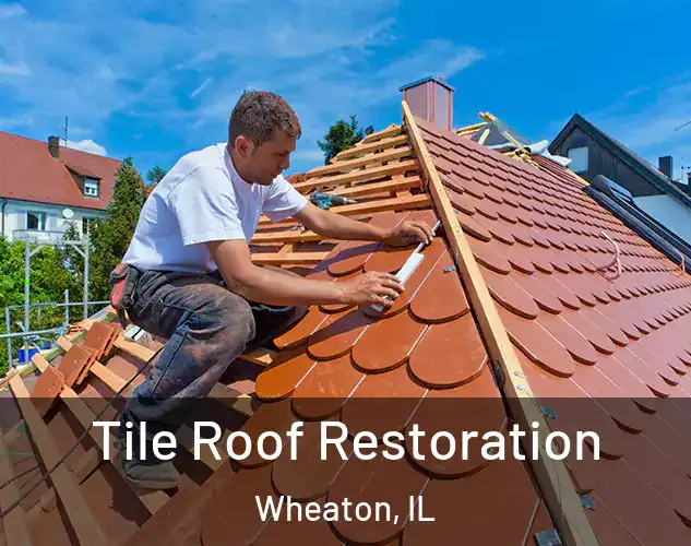  Tile Roof Restoration Wheaton, IL